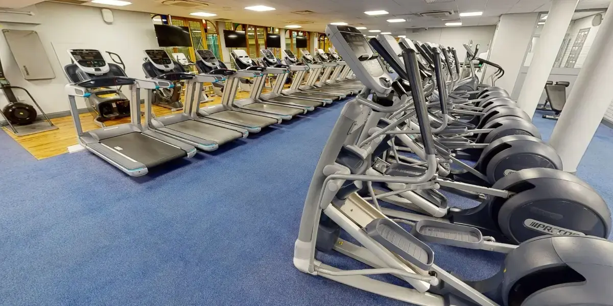 Cross trainers and treadmills in the gym