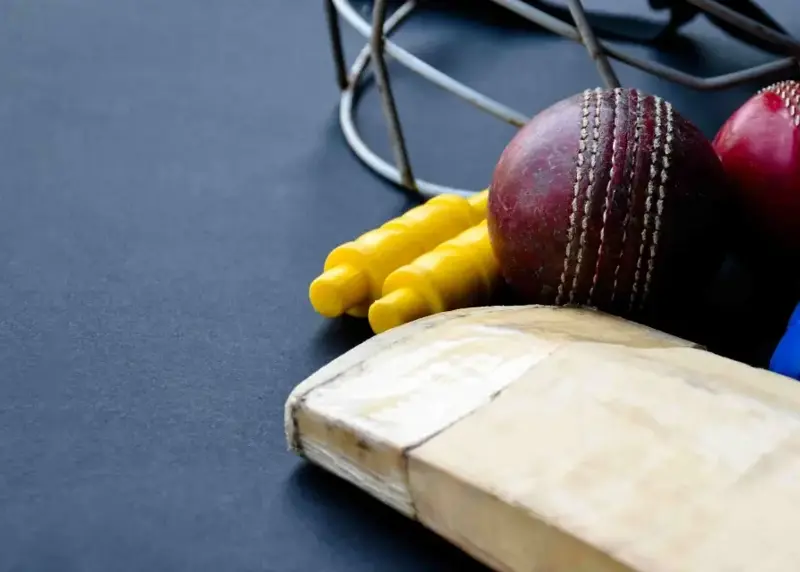 Cricket equipment including bat, balls and stumps